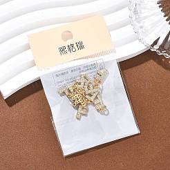 Ciondoli Shegrace in ottone con micro pavé di zirconi cubici trasparenti&nbsp;XGRQ29628-394G-F