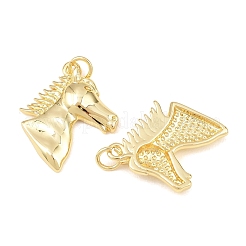 Messing Anhänger & Charms&nbsp;KK-C162-068G