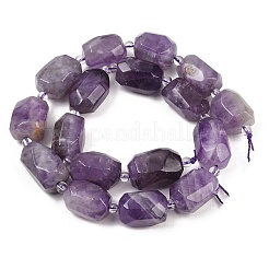 Natürlichen Amethyst Perlen Stränge&nbsp;G-Z147-E02-01