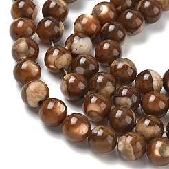 Natürliche Trochusmuschelperlenstränge&nbsp;SH-CBAFEDD-02B
