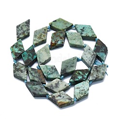 Fili di perle naturali di turchese africano (diaspro)&nbsp;G-245-E01-02