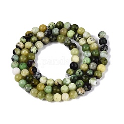 Cuentas serpentinas naturales hebras&nbsp;G-Q616-07A