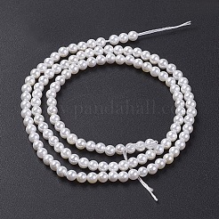 Shell-Perle Perle Stränge&nbsp;X-BSHE-P023-5mm
