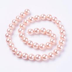 Chapelets de perles de coquille&nbsp;BSHE-L035-8mm-I01