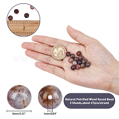 Bois pétrifié naturel brins de perles rondes&nbsp;G-AR0001-62