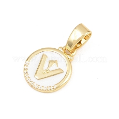 Breloques en laiton&nbsp;KK-E798-01F-G