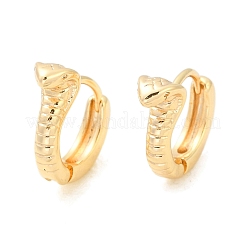 Orecchini a cerchio in ottone&nbsp;EJEW-Q016-13G