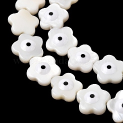 Eau douce naturelle de coquillage perles brins&nbsp;SHEL-A006-03E