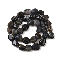 Natürliche Iolith / Cordierit / Dichroit Perlen Stränge&nbsp;G-A284-A02-03