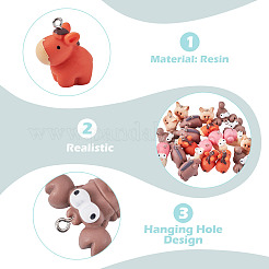 25 Stück 5 Stile Tierharzanhänger&nbsp;RESI-TA0005-41