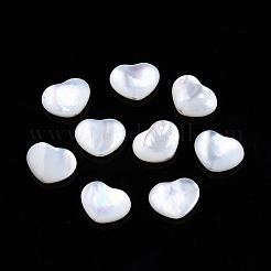 Shell perle bianche naturali&nbsp;SSHEL-N032-53