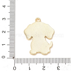 Emaille Anhänger Legierung&nbsp;AL-CBA8C45-03