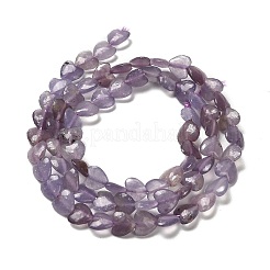 Natürliche Lepidolith / lila Glimmer Steinperlen Stränge&nbsp;G-P575-C01-6mm