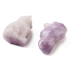 Natürliche geschnitzte Figuren aus Lepidolith/violettem Glimmerstein&nbsp;DJEW-L023-B04
