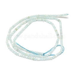 Brins de perles d'amazonite de fleurs naturelles&nbsp;G-G106-A16-01