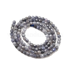 Natürliche Tansanitblau Perlen Stränge&nbsp;G-S387-A01-3mm