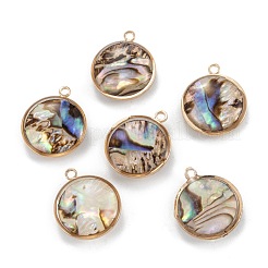 Natur Paua Muschel Anhänger&nbsp;KK-K252-06G-02