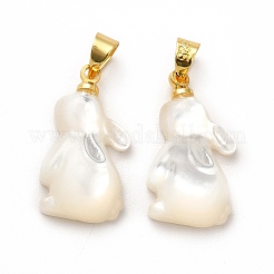 Pendentifs en coquille blanche naturelle&nbsp;SHEL-G014-13A