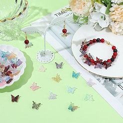 240pcs 12 Farben Glasperlen&nbsp;DGLA-SC0001-04