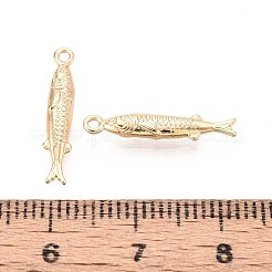 Messing Anhänger & Charms&nbsp;KK-T071-35G-02