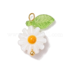 4 stücke 4 arten natürliche süßwasser shell emaille anhänger&nbsp;PALLOY-JF03480