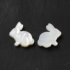 Shell perle bianche naturali&nbsp;BSHE-E026-08