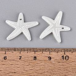 Pendentifs en plastique CCB&nbsp;PL-N007-05