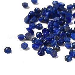 Dôme de lapis-lazuli naturel/cabochons demi-ronds&nbsp;G-G037-01B-03