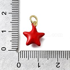 Messing rote Emaille Charms&nbsp;KK-Z102-23G-04