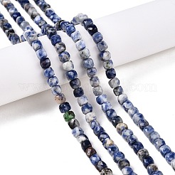 Natürliche blaue Fleck Jaspis Perlen Stränge&nbsp;G-N342-113