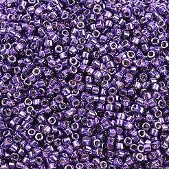 Perline miyuki delica&nbsp;X-SEED-J020-DB2509
