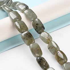 Natur Labradorit Perlen Stränge&nbsp;G-K357-D16-01