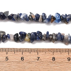 Chip sodalite naturali fili di perline&nbsp;LS-F024