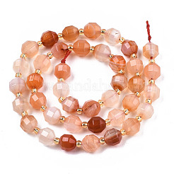 Filo di perline di agata naturale&nbsp;G-T131-79A