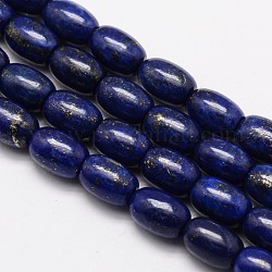 Natural Lapis Lazuli Barrel Bead Strands, Dyed, 12x8mm, Hole: 1mm, about 32pcs/strand, 15.1 inch