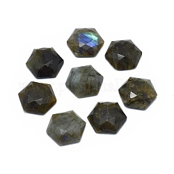 Cabochons en labradorite naturelle, hexagone, facette, 16x18x5~5.5mm