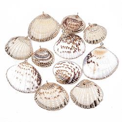 Pendentifs coquille de mer, avec les accessoires en fer, or clair, couleur de coquillage, 20~26x22~30x7~9mm, Trou: 1mm