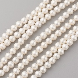 Brins de perles de culture d'eau douce naturelles, ronde, couleur de coquillage, 7~8x8~9mm, Trou: 0.5mm, Environ 53 pcs/chapelet, 15.5~15.7 pouce (39.5~40 cm)
