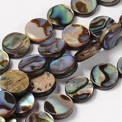 Brins de perles en coquille d'ormeau naturel / coquille de paua, plat rond, main-percés, 8x3~4mm, Trou: 0.5mm, Environ 50 pcs/chapelet, 16 pouce, noir, 8x3~4mm, Trou: 0.5mm, Environ 50 pcs/chapelet, 16 pouce