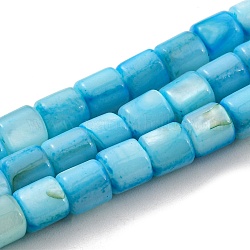 Naturali di acqua dolce perline shell fili, tinto, colonna, cielo blu profondo, 4~5.5x5mm, Foro: 0.6 mm, circa 74~75pcs/filo, 14.76~14.96 pollice (37.5~38 cm)