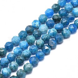 Natural Apatite Beads Strands, Faceted, Round, 10mm, Hole: 1mm, about 43pcs/strand, 15.75 inch(40cm)