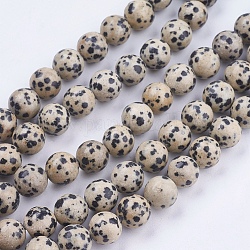 Dalmatien naturel jaspe brins pierre de perles, ronde, 10mm, Trou: 1mm, Environ 38 pcs/chapelet, 14.9 pouce