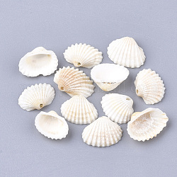 Breloques en spirale, coquille, blanc crème, 21~29.5x17.5~24x6~10.5mm, Trou: 1.2mm