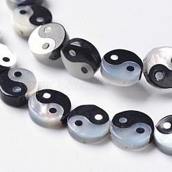 Fili di perline di conchiglia bianca feng shui, con naturale agata nera, rotondo e piatto, yin yang, nero, 8x2.5mm, Foro: 0.5 mm, circa 24pcs/filo, 8.1 pollice