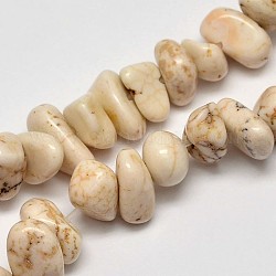 Copeaux de perles de magnésite naturelle brins, blanc crème, 6~10x4~6mm, Trou: 1mm, 15.7 pouce