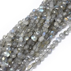 Chapelets de perles en labradorite naturelle , facette, plat rond, 4.5~5.5x2.5~3mm, Trou: 0.8mm, Environ 76 pcs/chapelet, 14.72~14.84 pouce (37.4~37.7 cm)