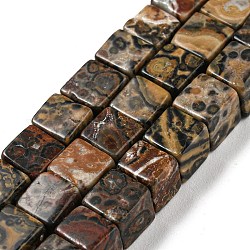 Chapelets de perles de jaspe en peau de léopard naturel, cube, 6~6.5x6~6.5x6~6.5mm, Trou: 1.2mm, Environ 63~64 pcs/chapelet, 15''~15.16'' (38.1~38.5 cm)