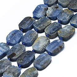 Chapelets de perles en cyanite / cyanite / divalent naturel, mat, rectangle, 14~17x11~13x5~6mm, Trou: 1mm, Environ 21~23 pcs/chapelet, 15.75~16.14 pouce (40~41 cm)