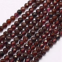 Chapelets de perles de grenat naturel, facette, ronde, 2~2.5mm, Trou: 0.5mm, Environ 160~170 pcs/chapelet, 15.5 pouce (39.5 cm)