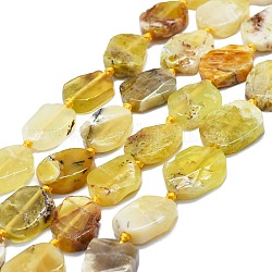 Natural Yellow Opal Beads Strands, Nuggets, 13~17x11~13x4~6mm, Hole: 0.8mm, about 24~25pcs/strand, 16.54 inch(42cm)